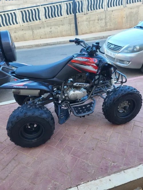 Vms Quad 2023