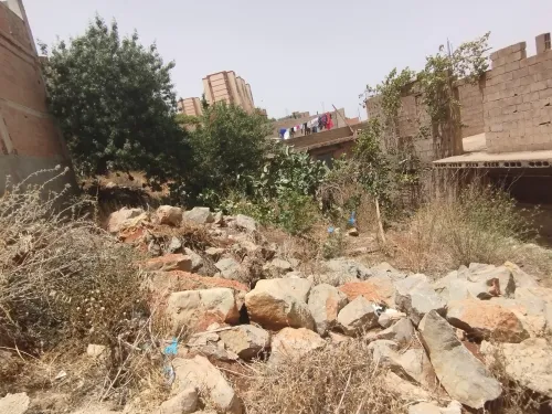 Vente Terrain Tlemcen Chetouane