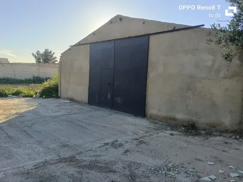 Location Hangar - Usine Oran El Kerma