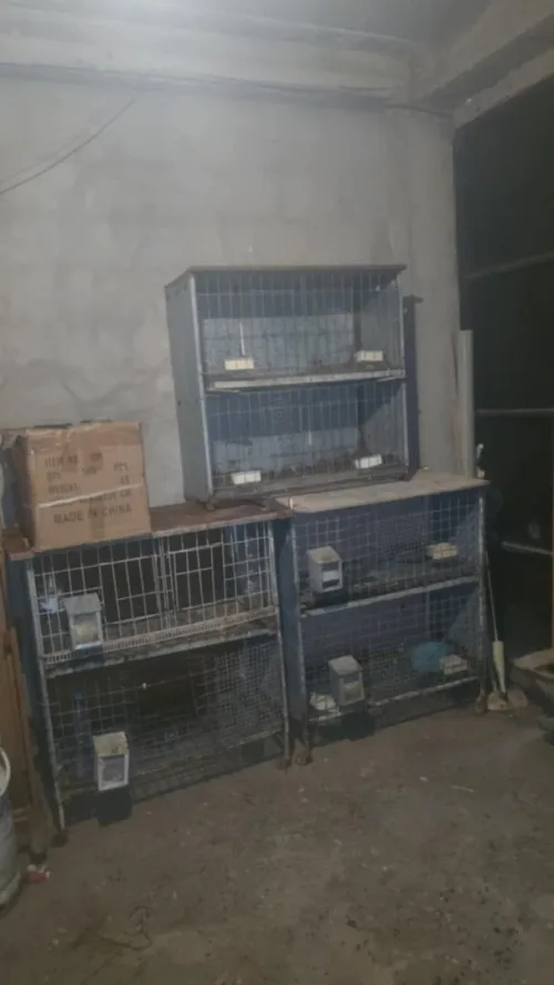 cage / batterie 