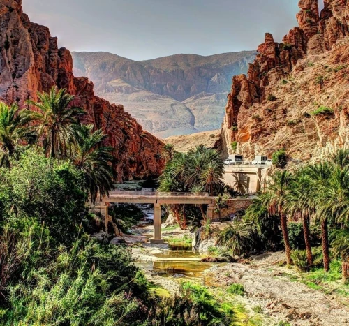 VOYAGE ORGANISE A BISKRA - SPECIAL YENNAYER