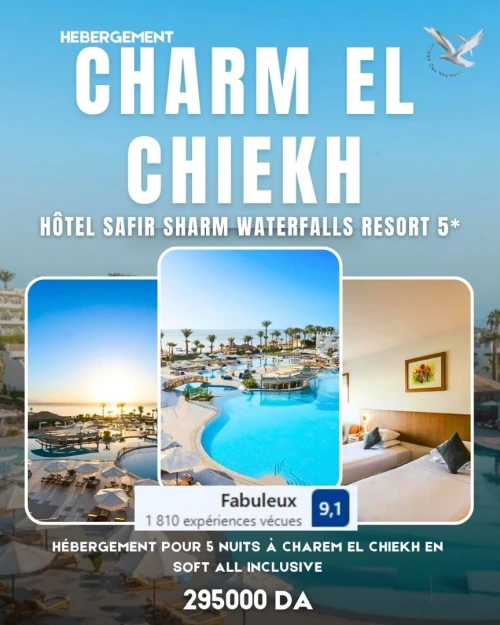 voyage organise cairo + sharm el sheikh - new year
