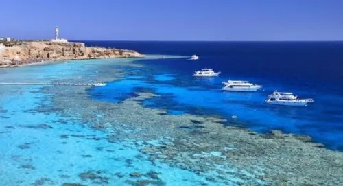 Voyage organise a Caire & Sharm El Sheikh 
