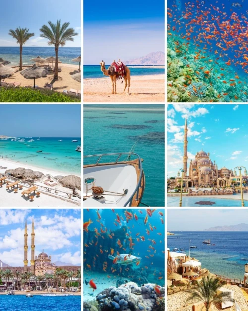 VOYAGE ORGANISE économique - SHARM EL SHEIKH