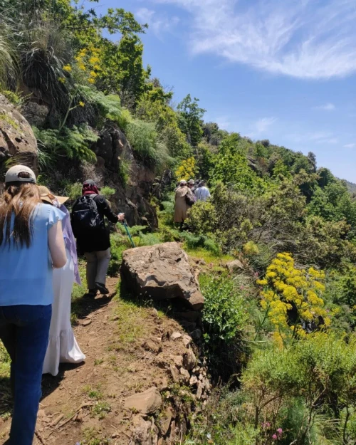 Sorties et excursions pour groupes a la carte 