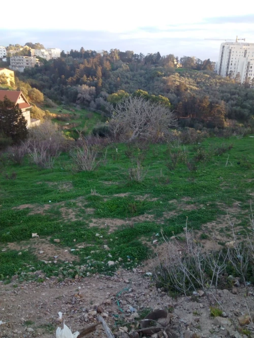 Vente Terrain Alger Bouzareah