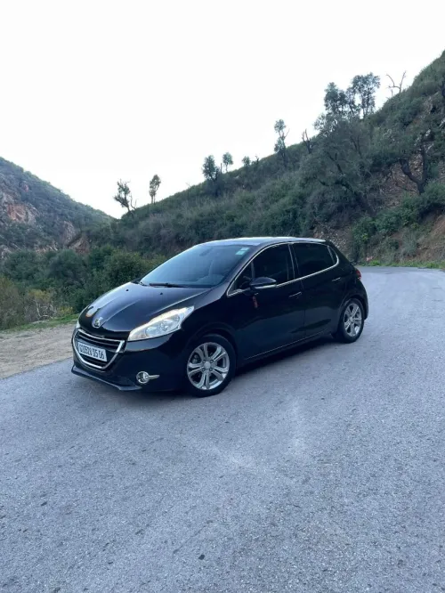 Peugeot 208 2015 Roland Garros