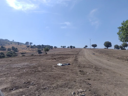 Vente Terrain Blida Larbaa