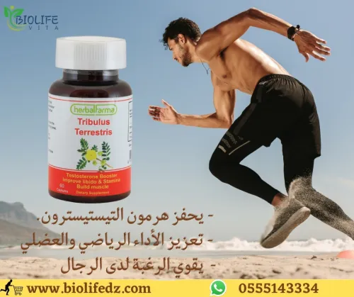 TRIBULUS TERRESTRIS plante de vitalité
