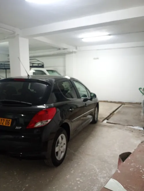 Peugeot 207 2012 Fennec