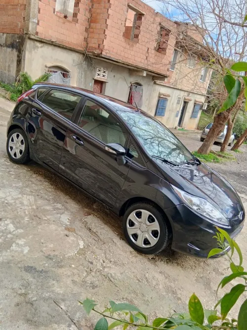 Ford Fiesta 2013 Fiesta
