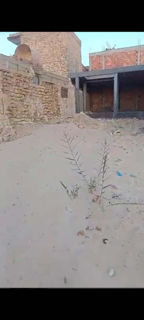 Vente Terrain Touggourt Touggourt