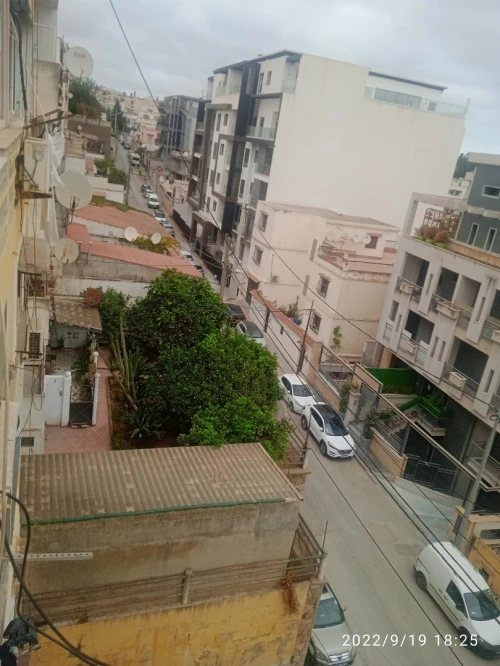 Location Studio Alger Hydra