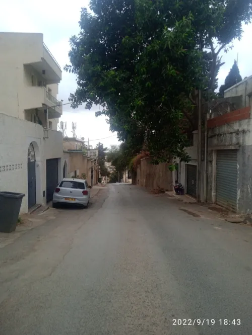 Location Studio Alger Hydra