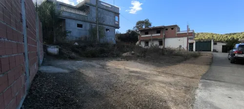 Vente Terrain Tipaza Sidi amar
