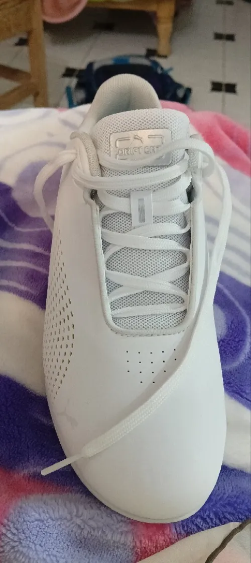 puma 