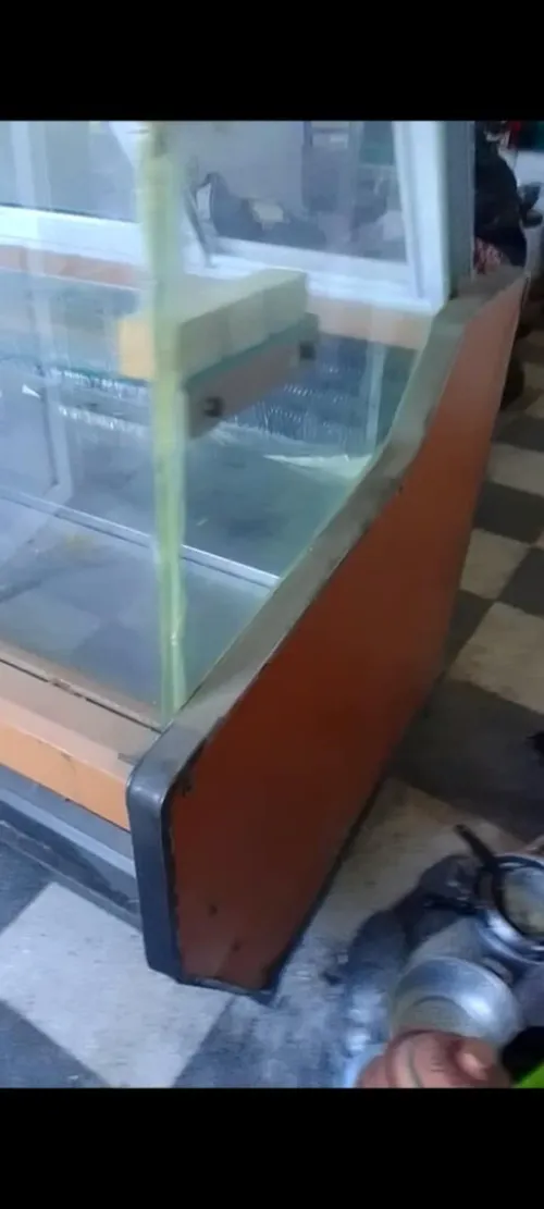 frigo