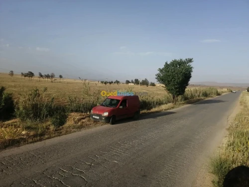 Vente Terrain Agricole Tiaret Sougueur
