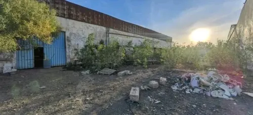 Vente Hangar - Usine Oran Bir el djir