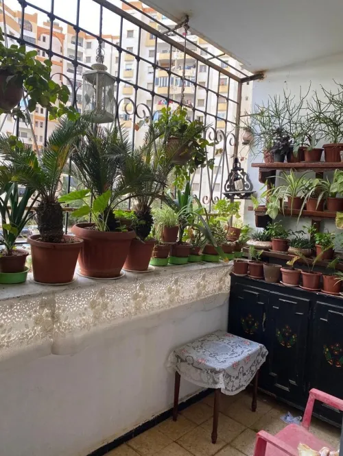 Vente Appartement Tipaza Kolea