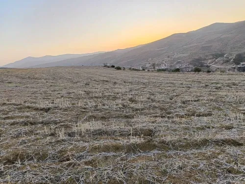 Vente Terrain Agricole Bordj Bou Arreridj Tesmart