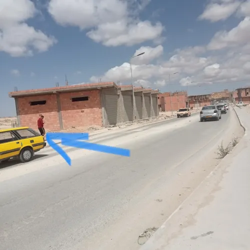 Vente Terrain Djelfa Djelfa