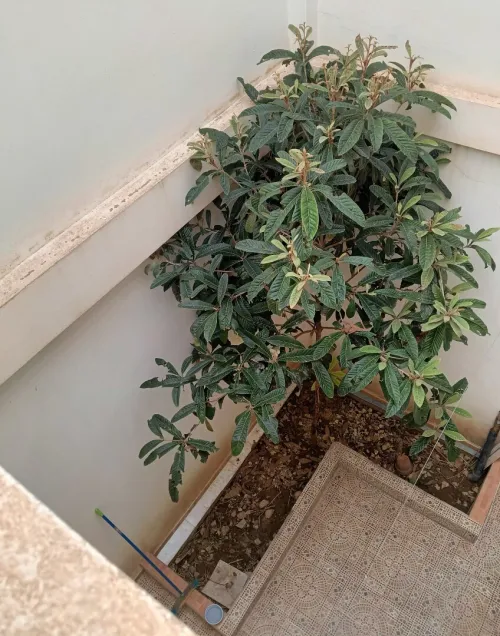Vente Villa Batna Batna
