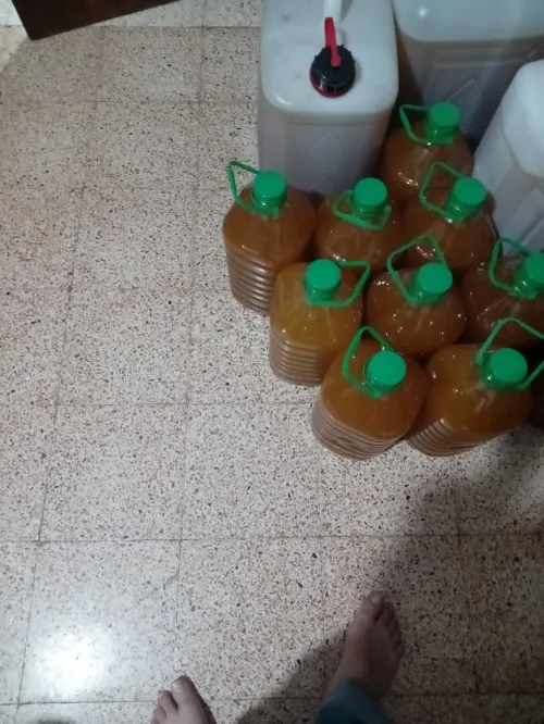 المدية
