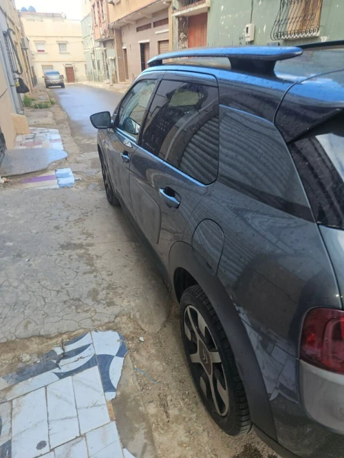 Citroen C4 Cactus 2015 C4 Cactus