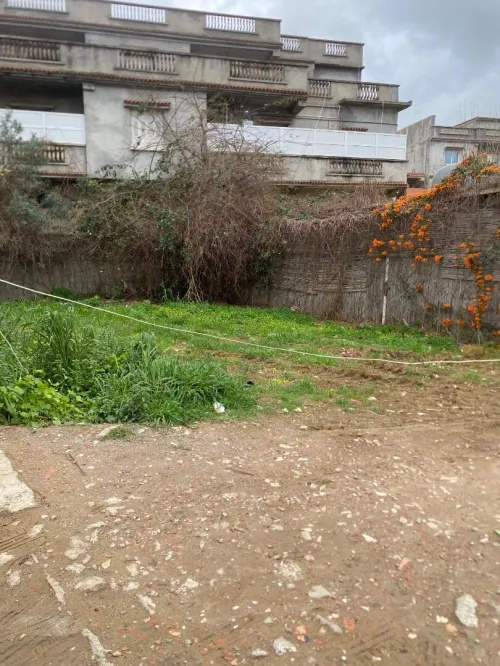 Vente Terrain Boumerdès Ouled moussa