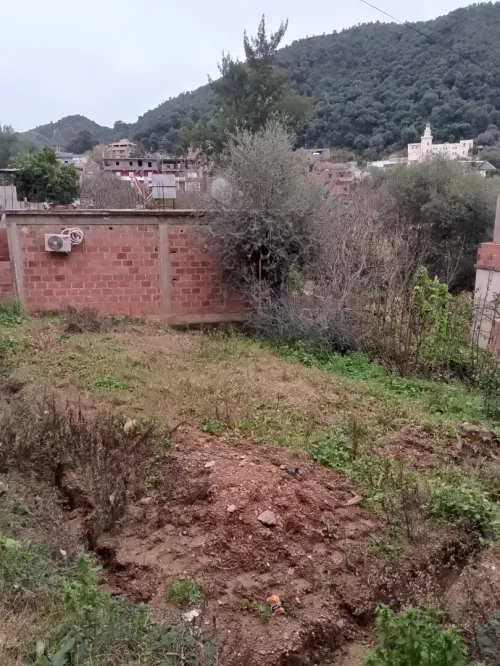 Vente Terrain Jijel El milia