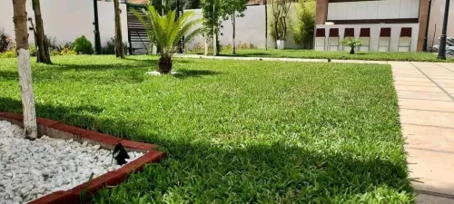 Espace vert et Gazon naturel