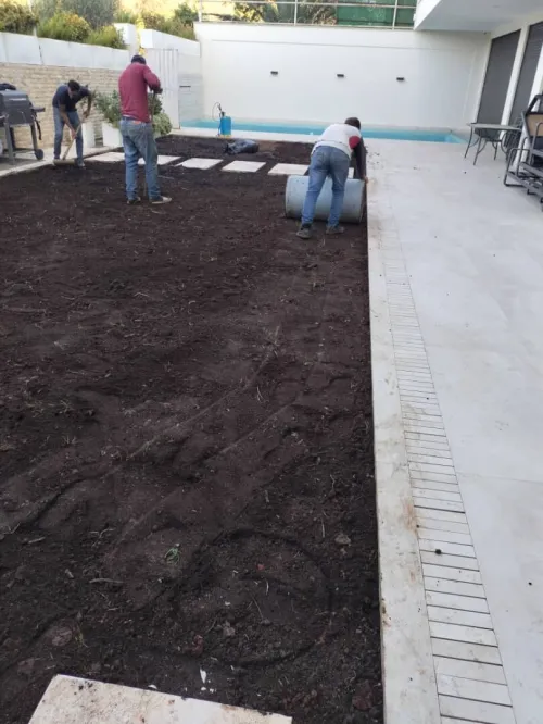 Nettoyage et jardinage d'espace vert