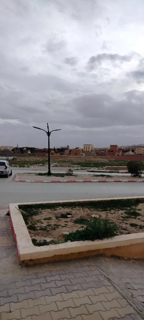 Vente Terrain Djelfa Djelfa