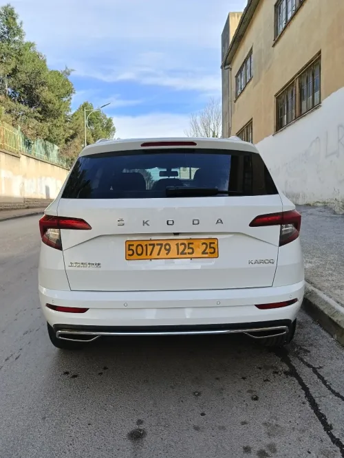 Skoda Karoq 2025 