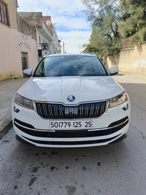 Skoda Karoq 2025 