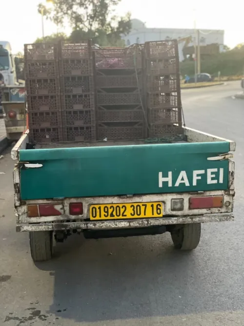 Haifi Haifi 2007