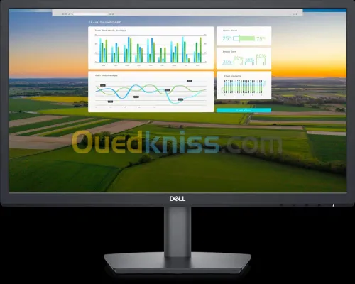 Écran Dell E2222H Full HD 21,45"