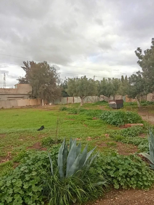 Location Villa Tlemcen Hennaya