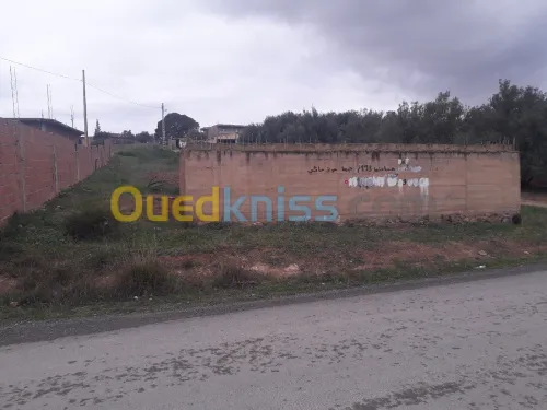 Vente Terrain Bouira Oued el berdi