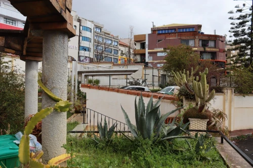 Location Villa Alger Dely brahim