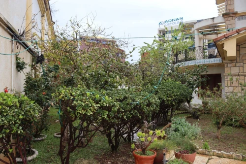 Location Villa Alger Dely brahim