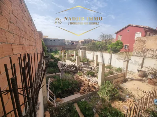 Vente Terrain Oran Bir el djir