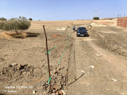 Vente Terrain Relizane El guettar