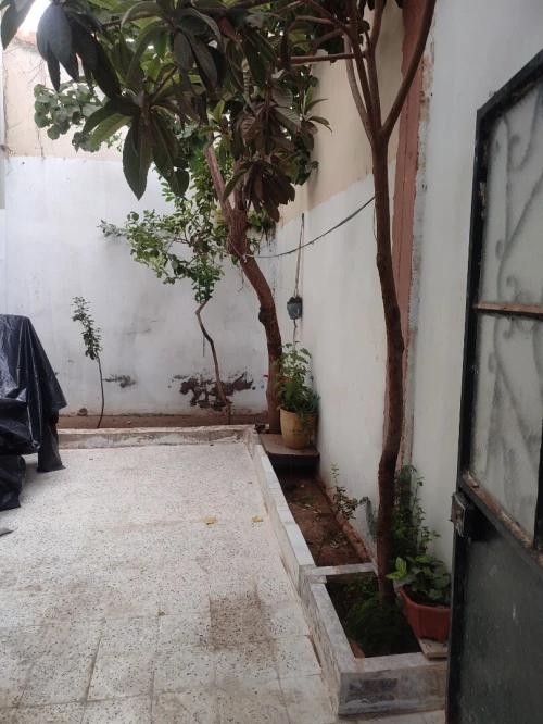 Vente Villa Mostaganem Mezghrane