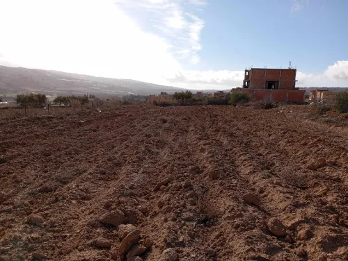 Vente Terrain Relizane Mazouna