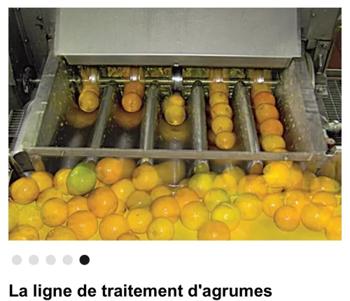 Ligne de production de tomates 