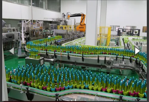 Ligne de production de tomates 