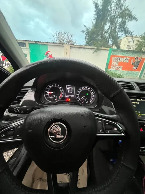 Skoda Fabia 2017 Monte Carlo