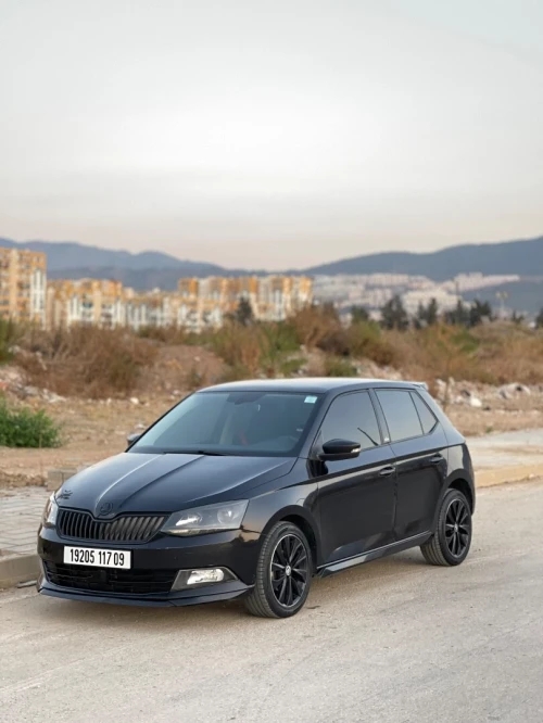 Skoda Fabia 2017 Monte Carlo